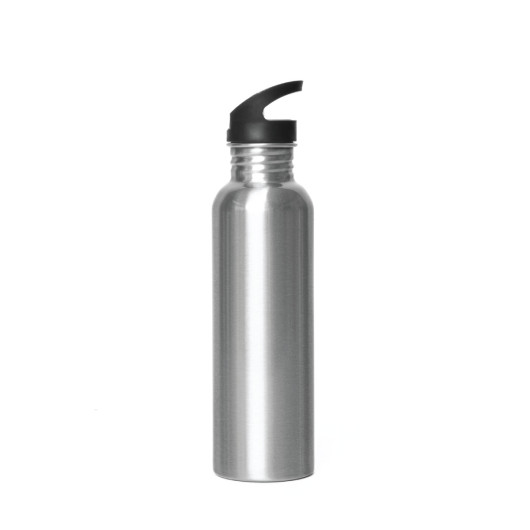 Central Shore Straw Water Bottles Silver
